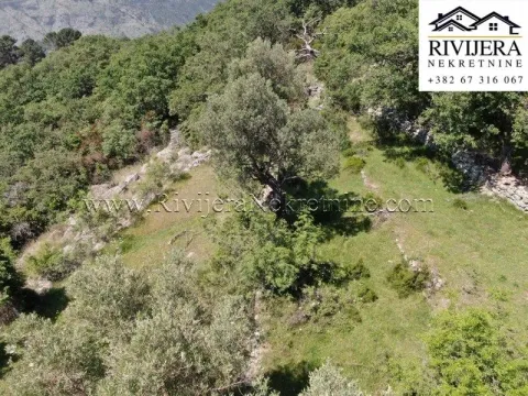 Sale, land lot, 800m², Sušćepan, Herceg Novi - image 4
