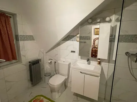 Izdavanje, kuća, 300m², Vračar Sve Podlokacije, Beograd - image 13