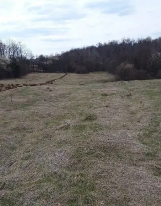 Sale, land lot, 600m², Koštunići, Gornji Milanovac