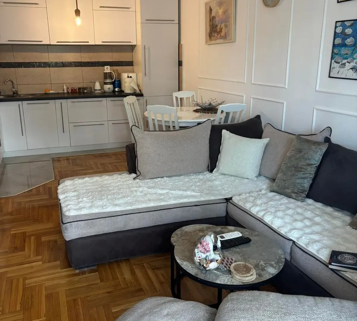 Rent, one bedroom apartment, 47m², Krivi Most, Podgorica