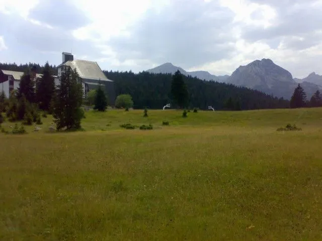 Prodaja, plac, 10000m², Centar, Žabljak