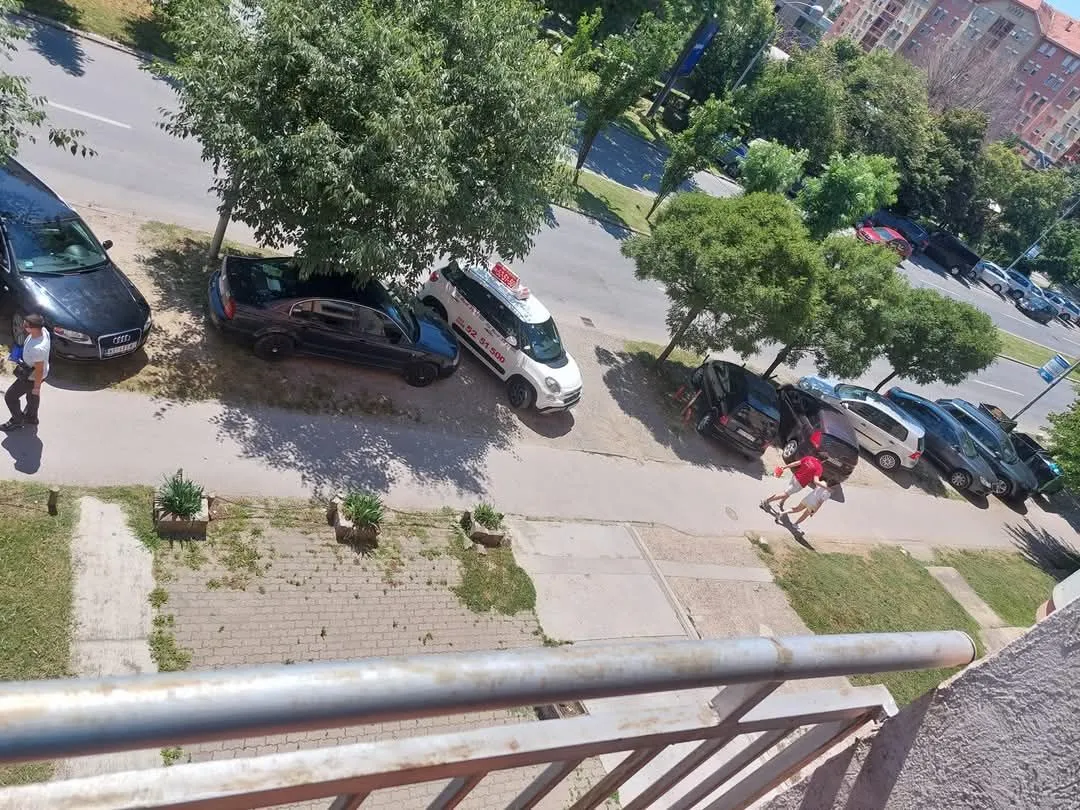 Rent, one bedroom apartment, 30m², Nova Detelinara, Novi Sad Sve Podlokacije
