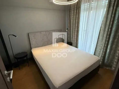 Izdavanje, dvosoban stan, 50m², Savski Venac, Beograd - image 16