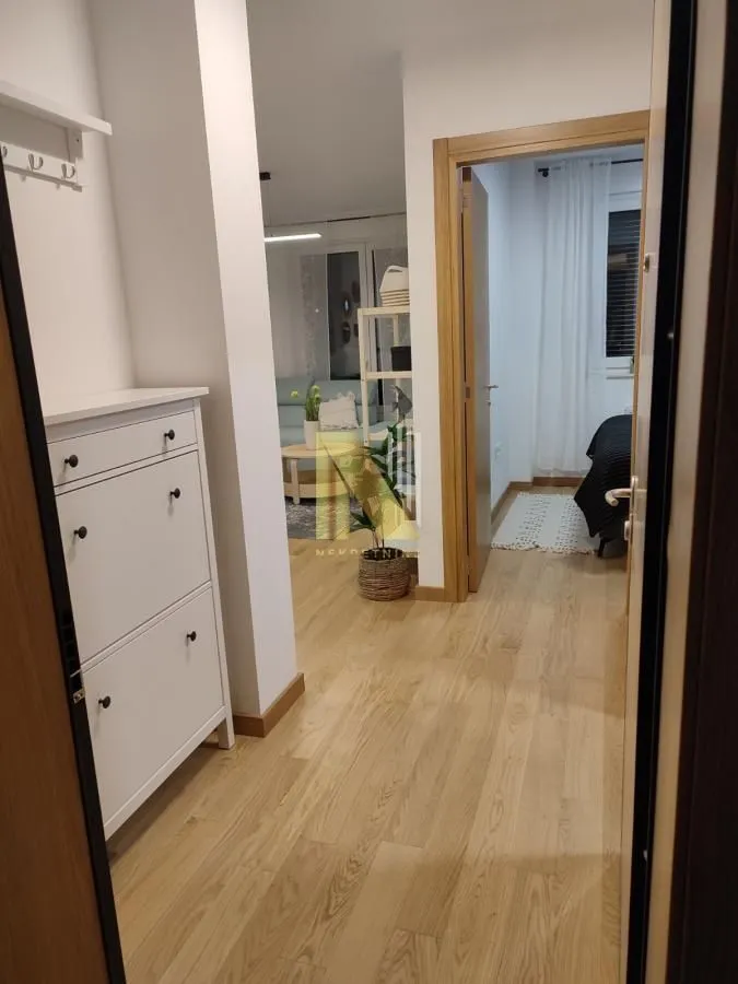 Izdavanje, jednosoban stan, 40m², Centar, Novi Sad
