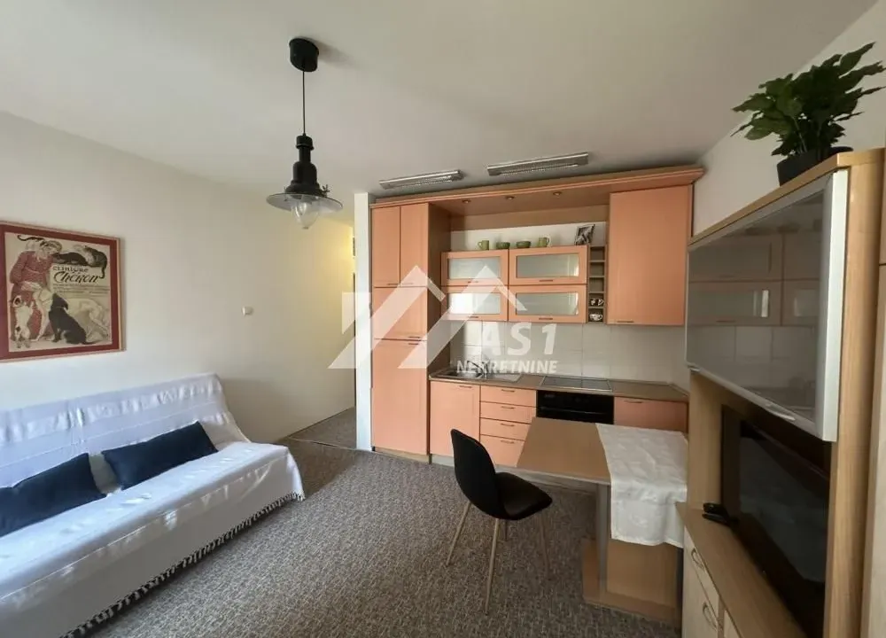 Izdavanje, stan, 28m², Grbavica, Novi Sad Sve Podlokacije