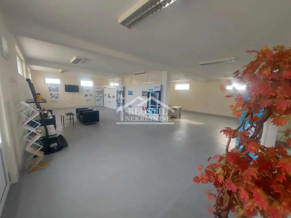 Izdavanje, poslovni prostor, 650m², Centar, Smederevo