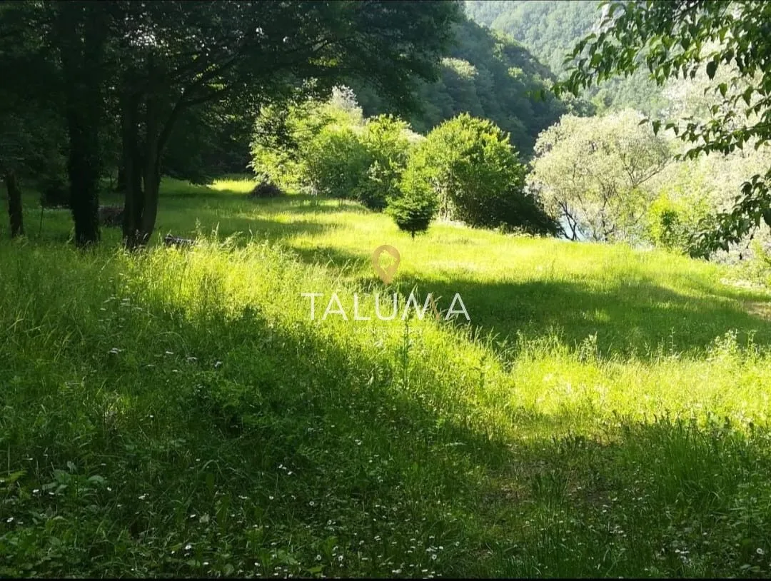 Prodaja, plac, 54000m², Plužine, Crna Gora