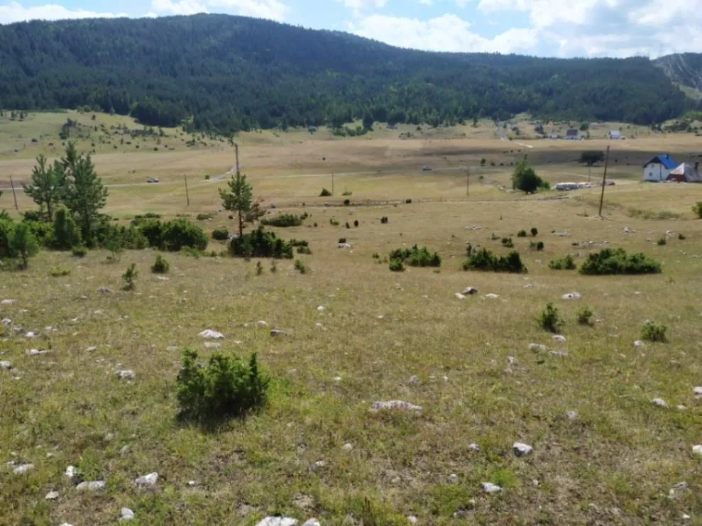 Prodaja, plac, 23700m², Njegovuđa, Žabljak