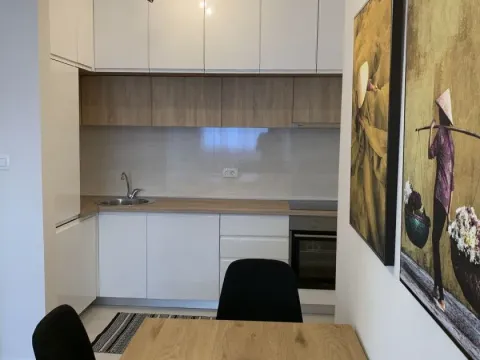 Rent, one bedroom apartment, 50m², Central Point, Podgorica - image 2