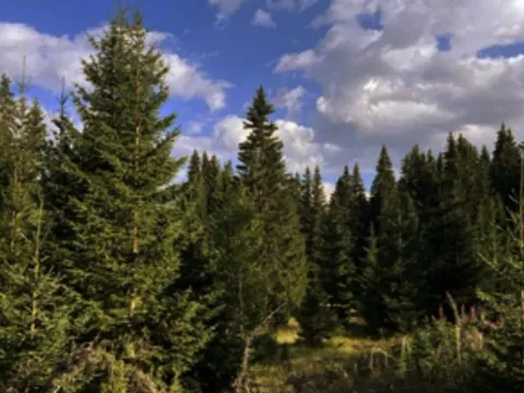 Sale, land lot, 2000m², Virpazar, Bar - image 2