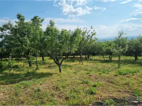 Prodaja, kuća, 345m², Niš, Srbija - image 12