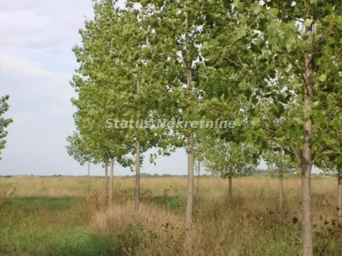 Prodaja, plac, 1378m², Zrenjanin, Srbija - image 3