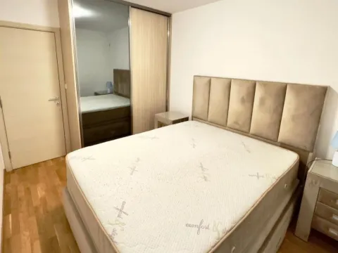 Izdavanje, jednosoban stan, 45m², Zagorič, Podgorica - image 6