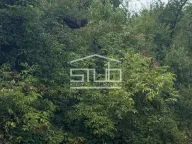 Prodaja, plac, Mislodjin, Obrenovac - image 4