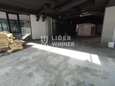 Prodaja, poslovni prostor, 347m², Južni Bulevar, Vračar Sve Podlokacije - image 4