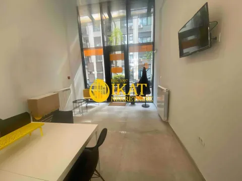 Rent, office space, 45m², Lion, Zvezdara Sve Podlokacije - image 3