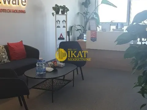 Izdavanje, poslovni prostor, 289m², Tašmajdan, Palilula Sve Podlokacije - image 11