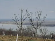 Prodaja, plac, 6400m², Plavinci, Grocka - image 11