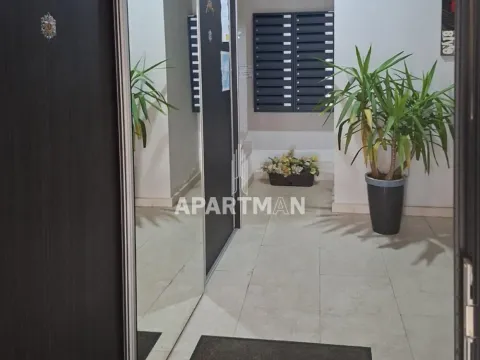 Izdavanje, jednosoban stan, 35m², Lipov Lad, Zvezdara Sve Podlokacije - image 10