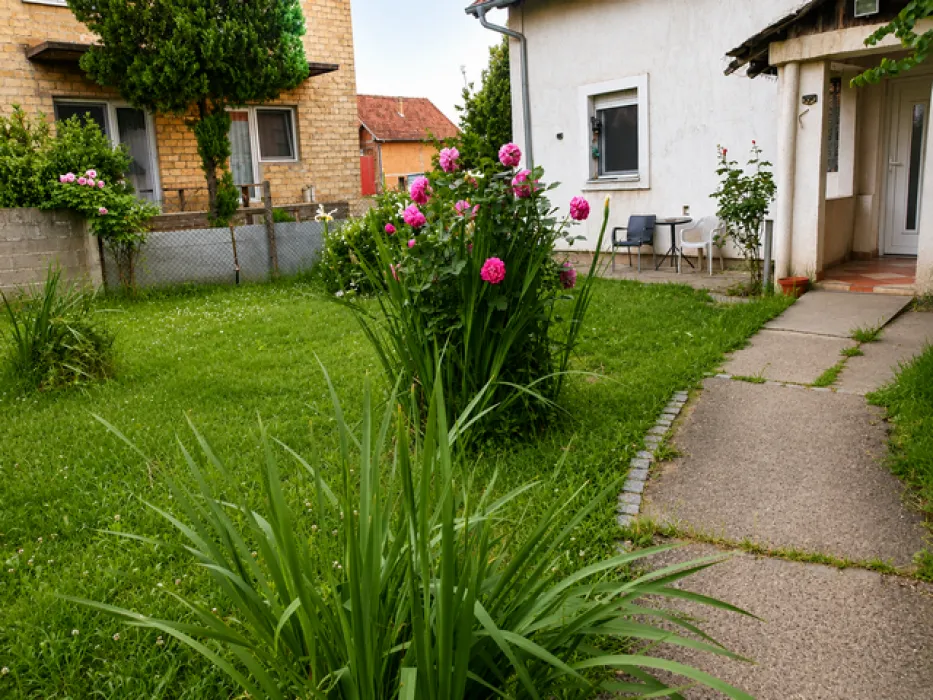 Sale, house, 205m², Altina, Beograd