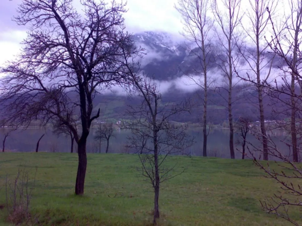 Prodaja, plac, 1750m², Vojno Selo, Plav