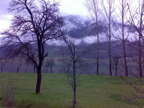 Sale, land lot, 1750m², Vojno Selo, Plav - image 6