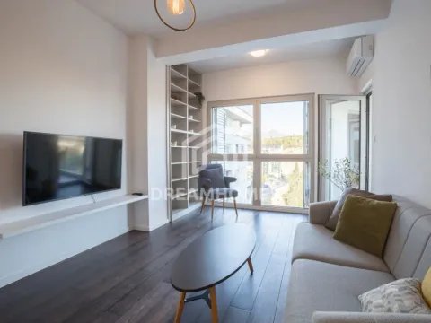 Rent, one bedroom apartment, 48m², Vezirov Most, Podgorica - image 2