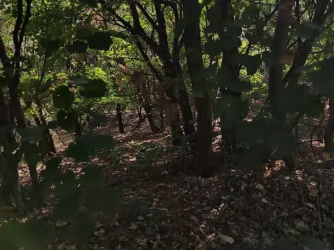 Sale, land lot, 5100m², Krupanj, Srbija - image 3