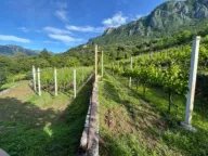 Sale, house, 200m², Crmnica, Bar - image 8