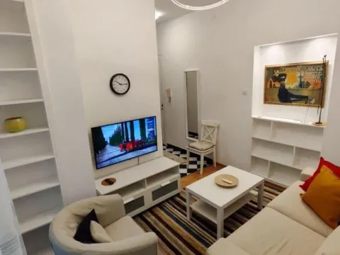 Izdavanje, dvosoban stan, 44m², Vračar Sve Podlokacije, Beograd - image 5