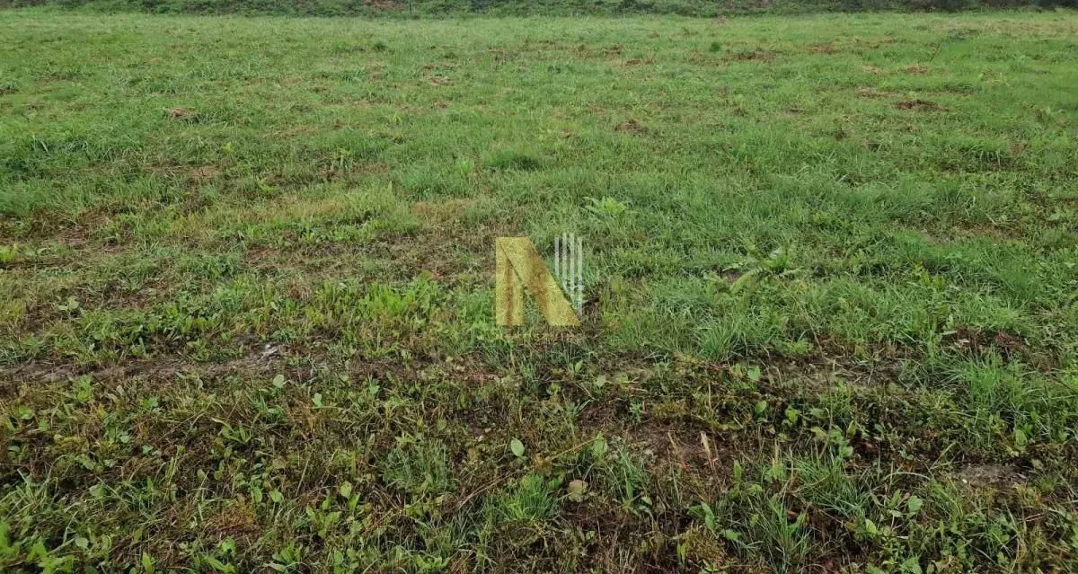 Sale, land lot, 1000m², Sadovi, Petrovaradin