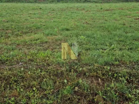 Sale, land lot, 10m², Sadovi, Petrovaradin