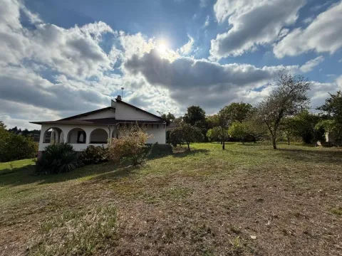 Prodaja, kuća, 204m², Bocke, Petrovaradin - image 22