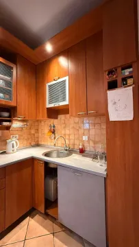 Rent, three bedroom apartment, 67m², Vračar Hram, Vračar Sve Podlokacije - image 13