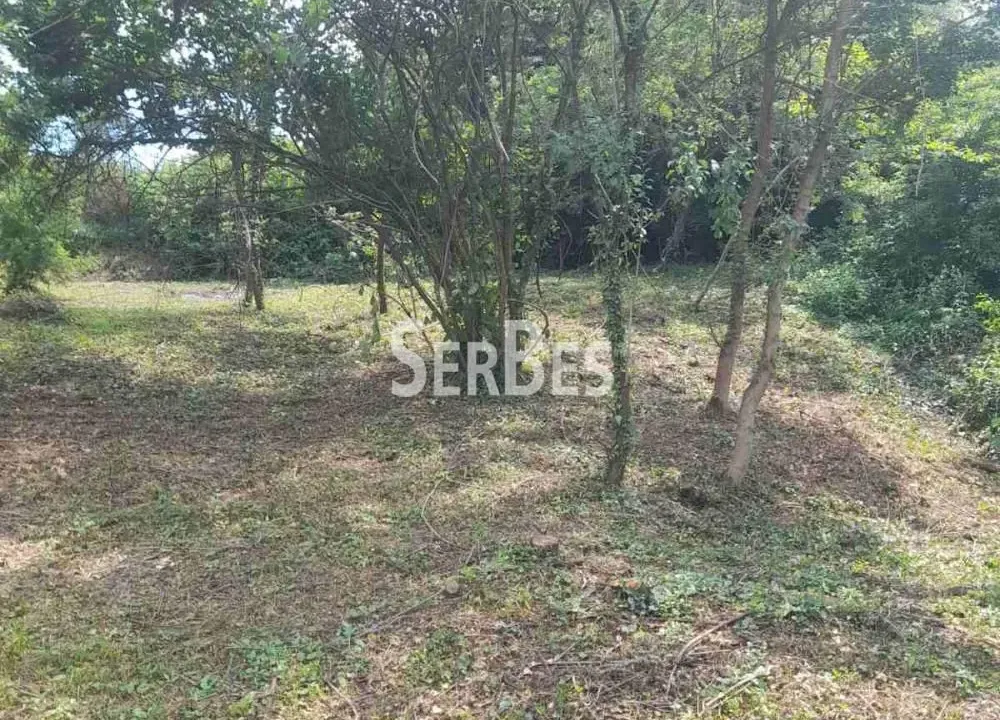 Prodaja, plac, Čerević, Beočin