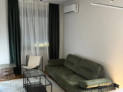 Izdavanje, dvosoban stan, 50m², Zabjelo, Podgorica - image 4