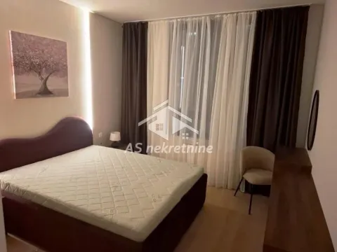 Izdavanje, dvosoban stan, 56m², Savski Venac, Beograd - image 8