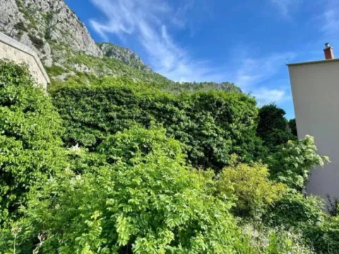 Prodaja, plac, 503m², Tudorovići, Budva - image 4