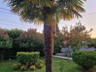 Izdavanje, kuća, 94m², Murtovina, Podgorica - image 12