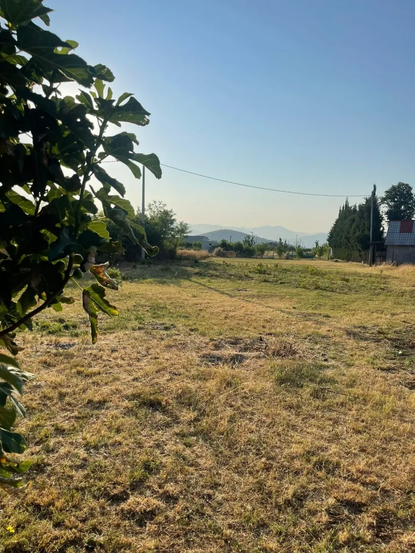 Pogled na prostrano dvorište i okolni pejzaž.