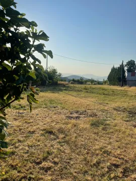 Pogled na prostrano dvorište i okolni pejzaž. - image 4