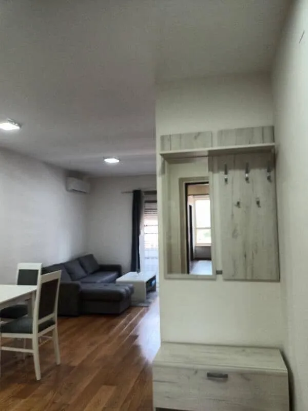 Izdavanje, jednosoban stan, 45m², Central Point, Podgorica