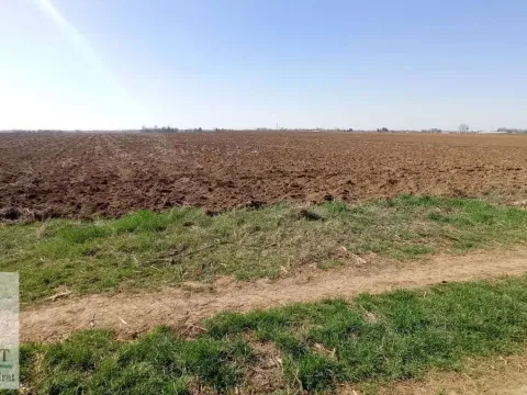 Sale, land lot, 147m², Urovci, Obrenovac