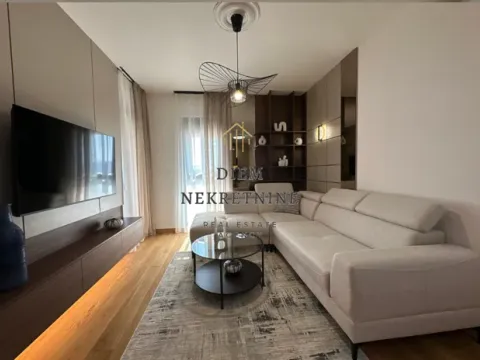 Izdavanje, jednosoban stan, 46m², Centar, Podgorica - image 12