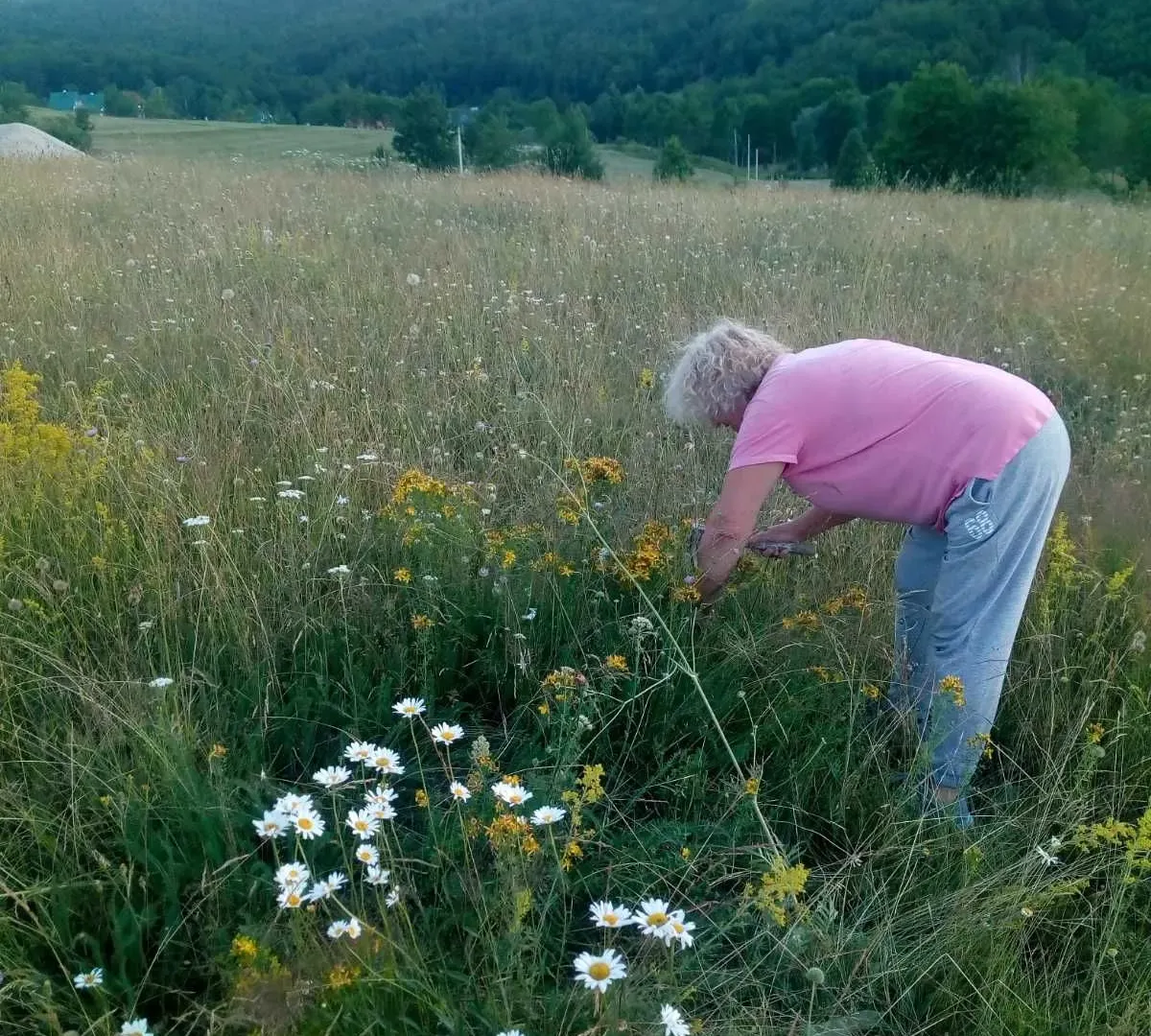 Prodaja, plac, 5800m², Šavnik, Crna Gora