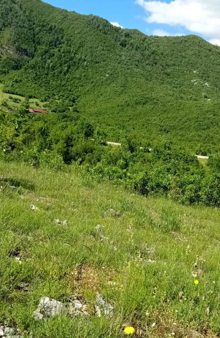 Prodaja, plac, 13400m², Nikšić, Crna Gora