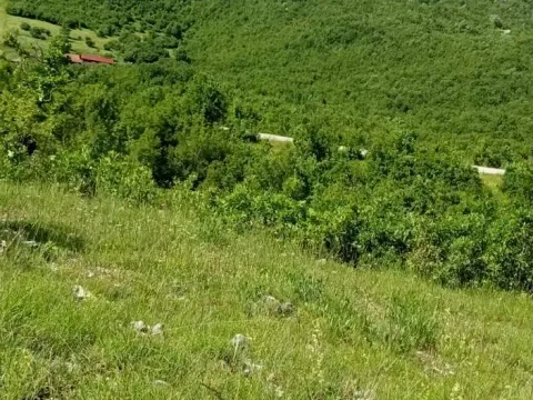 Prodaja, plac, 13400m², Nikšić, Crna Gora - image 3