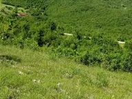 Prodaja, plac, 13400m², Nikšić, Crna Gora - image 3