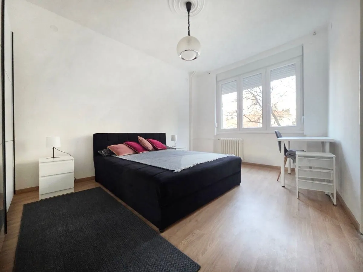 Rent, two bedroom apartment, 45m², Profesorska Kolonija, Palilula Sve Podlokacije