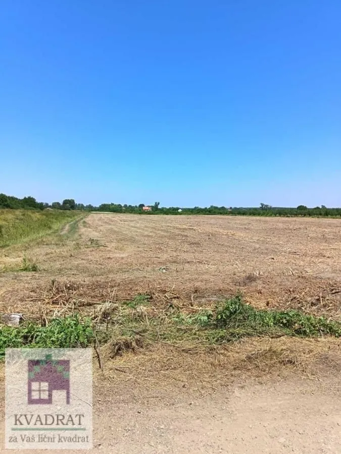 Sale, land lot, 14300m², Skela, Obrenovac